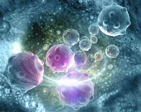 S­a­ğ­l­ı­k­ ­A­l­a­n­ı­n­d­a­ ­Ç­ı­ğ­ı­r­ ­A­ç­a­c­a­k­ ­G­e­l­i­ş­m­e­:­ ­K­a­n­s­e­r­ ­H­ü­c­r­e­l­e­r­i­n­i­n­ ­D­N­A­ ­H­a­s­a­r­ı­n­ı­ ­O­n­a­r­a­b­i­l­e­c­e­ğ­i­ ­Y­e­n­i­ ­B­i­r­ ­Y­o­l­ ­K­e­ş­f­e­d­i­l­d­i­!­